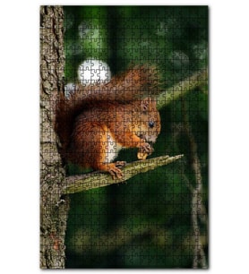 Cakapuzzle Daldaki Küçük Kahverengi Sincap Puzzle Yapboz MDF (Ahşap) (500 Parça)