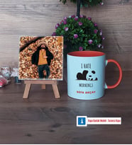 Sevimli Panda Fotoğraflı Dekoratif Taş, Kupa Bardak Beyaz Hediye (Model 13)