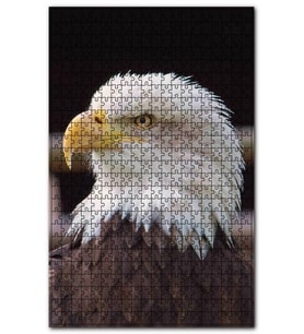Cakapuzzle Amerikan Kartalı Yakın Çekim Puzzle Yapboz MDF (Ahşap) (500 Parça)