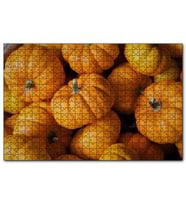 Cakapuzzle Turuncu Minyatür Kabaklar Yakın Plan  Puzzle Yapboz MDF (Ahşap) (255 Parça)