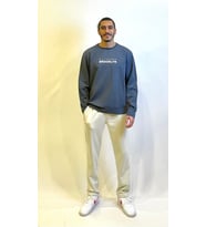 Erkek Bisiklet Yaka Regular Fit Brooklyn Baskılı İnce Sweatshirt SPR23SW330 (Füme)