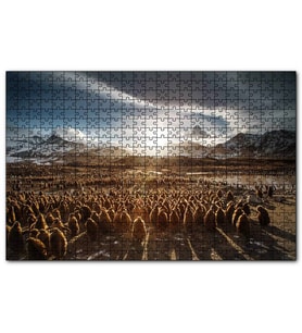 Cakapuzzle Güney Georgia'da Kral Pengueni Yavruları  Puzzle Yapboz MDF (Ahşap) (255 Parça)