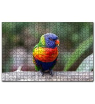Cakapuzzle Gökkuşağı Lorikeet Papağanı  Puzzle Yapboz MDF (Ahşap) (255 Parça)