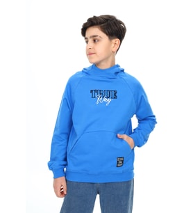 Toontoy Erkek Çocuk Nakışlı Sweatshirt (Saks)