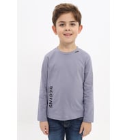Toontoy Erkek Çocuk Baskılı Tişört (Gri)