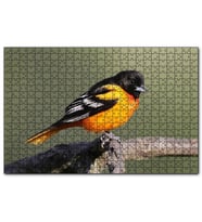 Cakapuzzle Dalda Turuncu Siyah Egzotik Kuş  Puzzle Yapboz MDF (Ahşap) (1000 Parça)