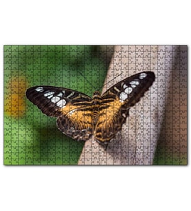 Cakapuzzle  Ağaç Üzerinde Sarı Siyah Kelebek  Puzzle Yapboz MDF (Ahşap) (500 Parça)