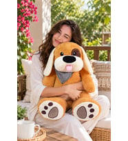 Karizmatik Korsan Köpek  (%100 yerli ) (Kahverengi Açık)