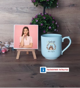Baykuş Fotoğraflı Dekoratif Taş, Kupa Bardak Beyaz Hediye (Model 5)