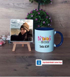 Biyoloji Öğretmeni Fotoğraflı Dekoratif Taş, Kupa Bardak Beyaz Hediye (Model 3)