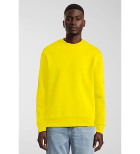 Erkek Bisiklet Yaka Rahat Kalıp 3 iplik İçi Polarlı Kalın Sweatshirt SPR25SW36 (Sarı)