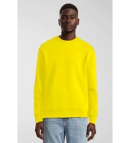 Erkek Bisiklet Yaka Rahat Kalıp 3 iplik İçi Polarlı Kalın Sweatshirt SPR25SW36 (Sarı)