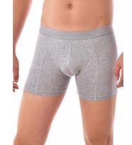 Tutku Erkek Elastan Boxer  (Gri)