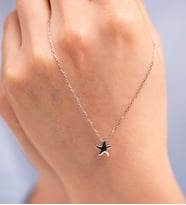 Mode Silver Deniz yıldızı gümüş kolye (Gümüş)