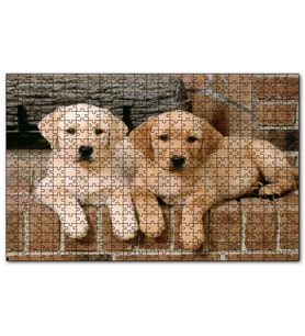 Cakapuzzle Şöminenin Önünde İki Labrador Yavrusu Puzzle Yapboz MDF (Ahşap) (1000 Parça)