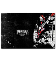 Cakapuzzle Pantera Solist Dimebag Darrell  Puzzle Yapboz MDF (Ahşap) (500 Parça)