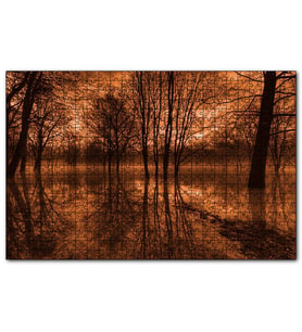 Cakapuzzle Sonbaharda Kızıl Gökler ve Çıplak Ağaçlar  Puzzle Yapboz MDF (Ahşap) (500 Parça)
