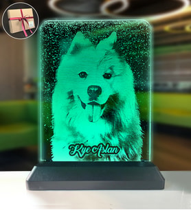 Köpeklere Özel Kişisel Resimli Dikey Dikdörtgen 3d Led Gece Lambası (4199)