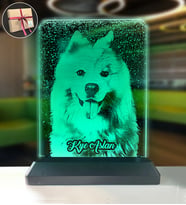 Köpeklere Özel Kişisel Resimli Dikey Dikdörtgen 3d Led Gece Lambası (4199)