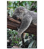Cakapuzzle Dalda Uyuklayan Koala Puzzle Yapboz MDF (Ahşap) (1000 Parça)