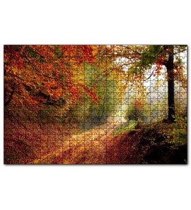 Cakapuzzle Sonbahar Renkleri, Yapraklar ve Ormandaki Patika  Puzzle Yapboz MDF (Ahşap) (255 Parça)