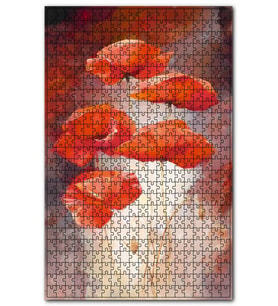 Cakapuzzle Birbirine Yaslanan Beş Gelincik Puzzle Yapboz MDF (Ahşap) (1000 Parça)