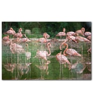Cakapuzzle Durgun Gölde Beslenen Flamingolar Puzzle Yapboz MDF (Ahşap) (1000 Parça)