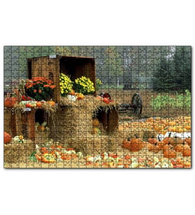 Cakapuzzle Kabaklar Samanlar ve Kasalar  Puzzle Yapboz MDF (Ahşap) (500 Parça)