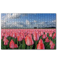 Cakapuzzle Pembe Lale Bahçesi Görseli  Puzzle Yapboz MDF (Ahşap) (500 Parça)