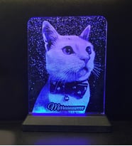 Kedilere Özel Kişisel Resimli Dikey Dikdörtgen 3d Led Gece Lambası (Mavi)