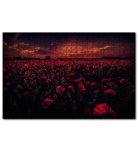 Cakapuzzle Günbatımı Gelincik Tarlası ve Kızıl Gökler  Puzzle Yapboz MDF (Ahşap) (1000 Parça)