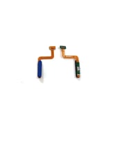 Galaxy M31s M317f İle Uyumlu Parmak İzi Film Flex İthal (Mavi)