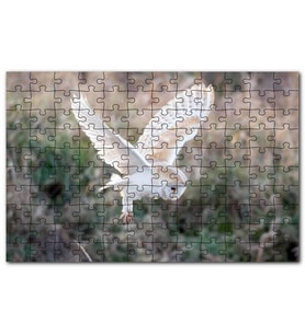Cakapuzzle Çayırda Konmaya Hazırlanan Beyaz Baykuş Puzzle Yapboz MDF (Ahşap) (1000 Parça)