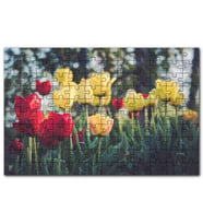 Cakapuzzle Sarı ve Kırmızı Laleler Flu Arkaplan Puzzle Yapboz MDF (Ahşap) (255 Parça)