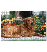 Cakapuzzle Kahverengi Golden Rertriever ve Çiçekler  Puzzle Yapboz MDF (Ahşap) (500 Parça)