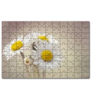Cakapuzzle Üç Papatya Yakın Çekim Flu Arkaplan Puzzle Yapboz MDF (Ahşap) (500 Parça)