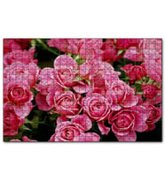 Cakapuzzle Pembe Güller  Puzzle Yapboz MDF (Ahşap) (1000 Parça)