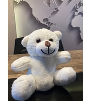 ÖZGÜNER RENKLİ  20CM AYICIK (Beyaz)