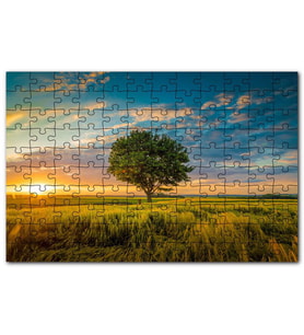 Cakapuzzle Çayırda Günbatımı Bulutlar ve Yalnız Ağaç Puzzle Yapboz MDF (Ahşap) (255 Parça)