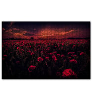 Cakapuzzle Günbatımı Gelincik Tarlası ve Kızıl Gökler  Puzzle Yapboz MDF (Ahşap) (500 Parça)