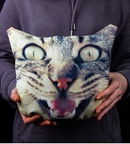 eJOYA Kedi Yüzü Şirin Yastık 107107 (Mavi)