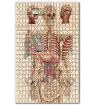 Cakapuzzle İç Organlar İnsan Anatomisi Görseli Puzzle Yapboz MDF (Ahşap) (1000 Parça)