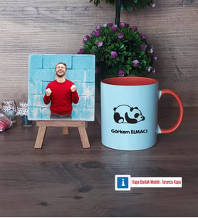 Uykucu Panda Fotoğraflı Dekoratif Taş, Kupa Bardak Beyaz Hediye (Model 13)
