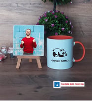 Uykucu Panda Fotoğraflı Dekoratif Taş, Kupa Bardak Beyaz Hediye (Model 13)
