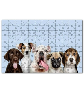 Cakapuzzle Sevimli 5 Köpek Portre Gökyüzü Arkaplan Puzzle Yapboz MDF (Ahşap) (500 Parça)