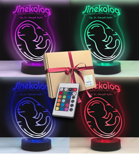 Kadın Doğuma Özel Jinekolog Tasarım 3D Hediyelik Led Lamba (Karışık)