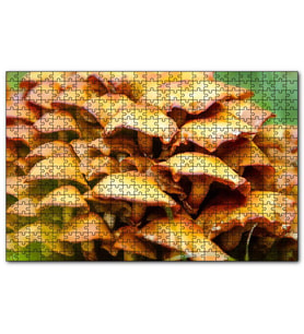 Cakapuzzle Sarı Mantarlar  Puzzle Yapboz MDF (Ahşap) (500 Parça)