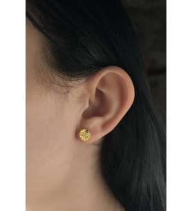14 Ayar Altın Reşat Görünümlü Plaka Küpe (Rose)