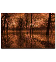 Cakapuzzle Sonbaharda Kızıl Gökler ve Çıplak Ağaçlar  Puzzle Yapboz MDF (Ahşap) (255 Parça)