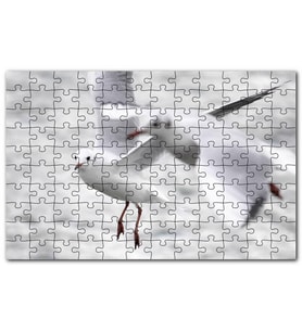 Cakapuzzle İki Martı Yakın Çekim Flu Deniz Arkaplan Puzzle Yapboz MDF (Ahşap) (500 Parça)